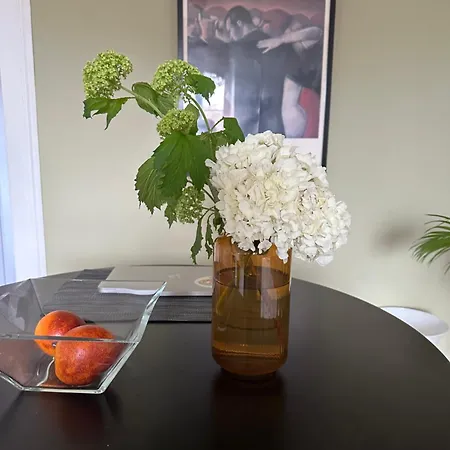 Val Es Roses Apartment Dinard
